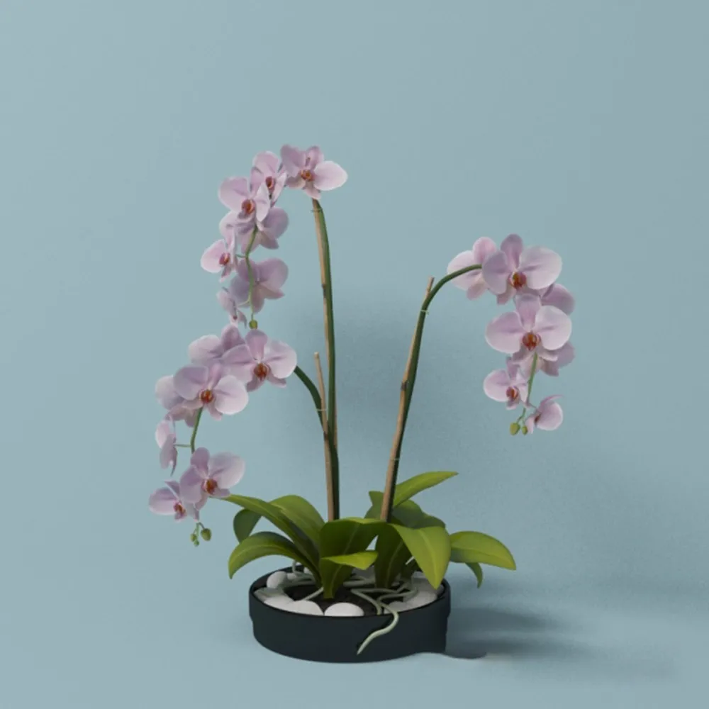 decoration – Pink orchid 3D Model