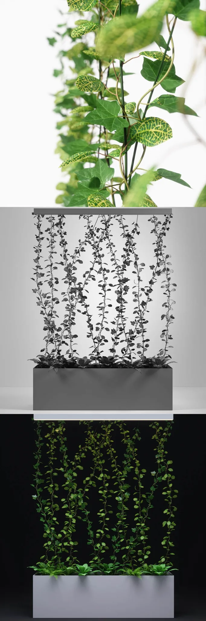 decoration – Plant 01 3D Model