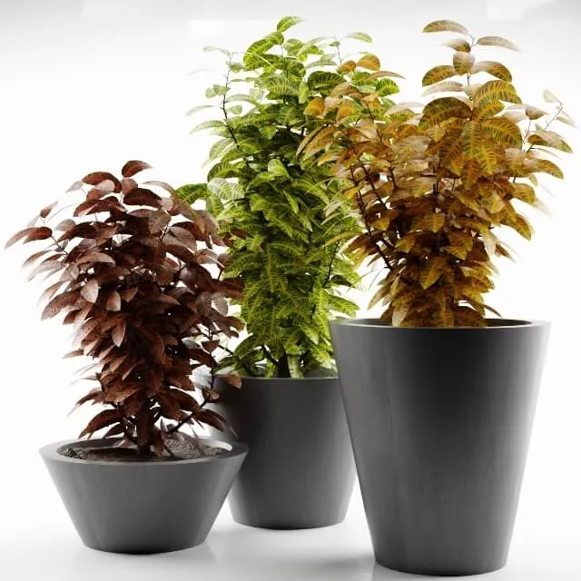 decoration – Plant 37 3D Model decoration – Plant 37 3D Model