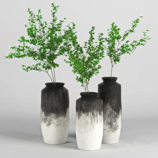 decoration – Plant 3D Model