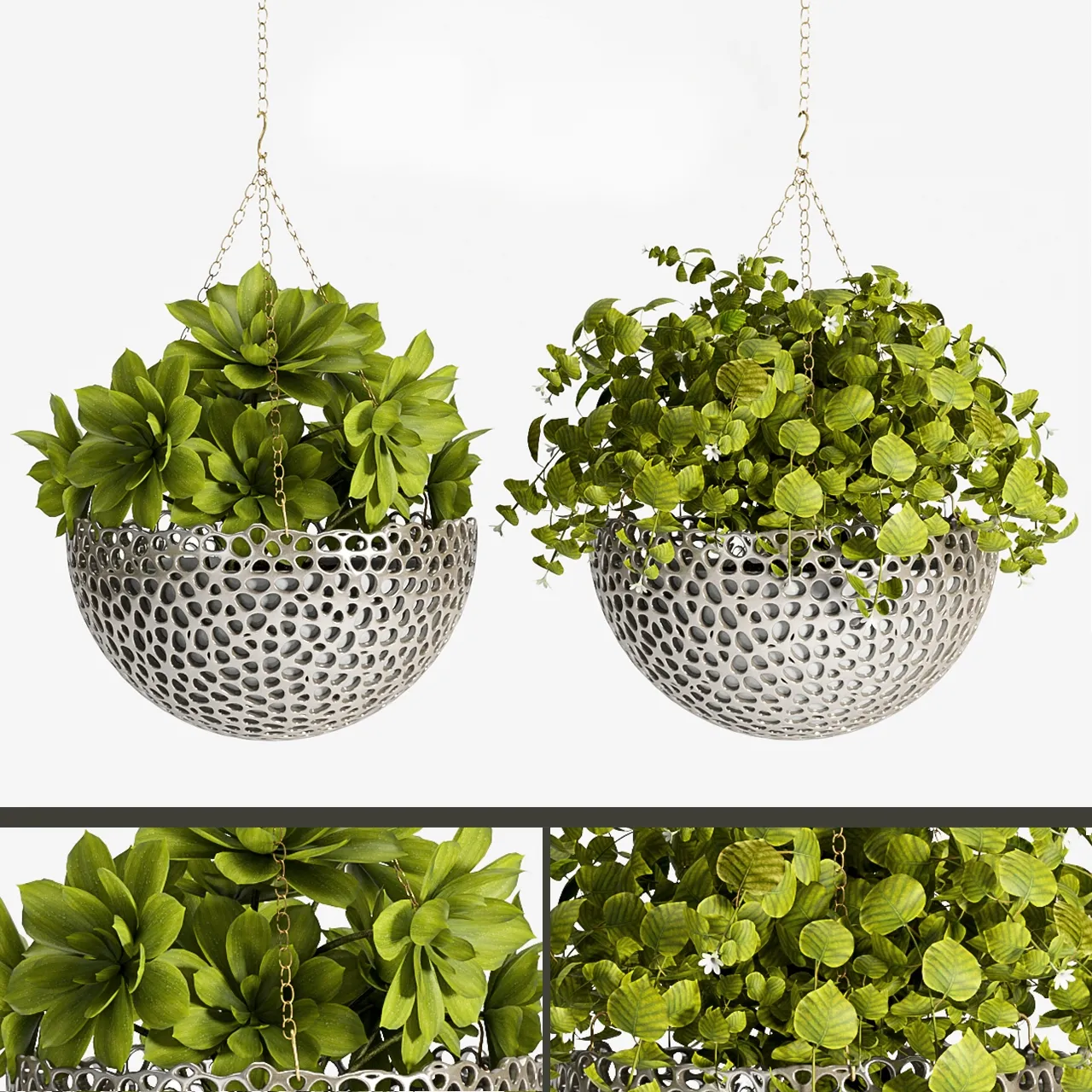 decoration – Plant -62 3D Model decoration – Plant -62 3D Model