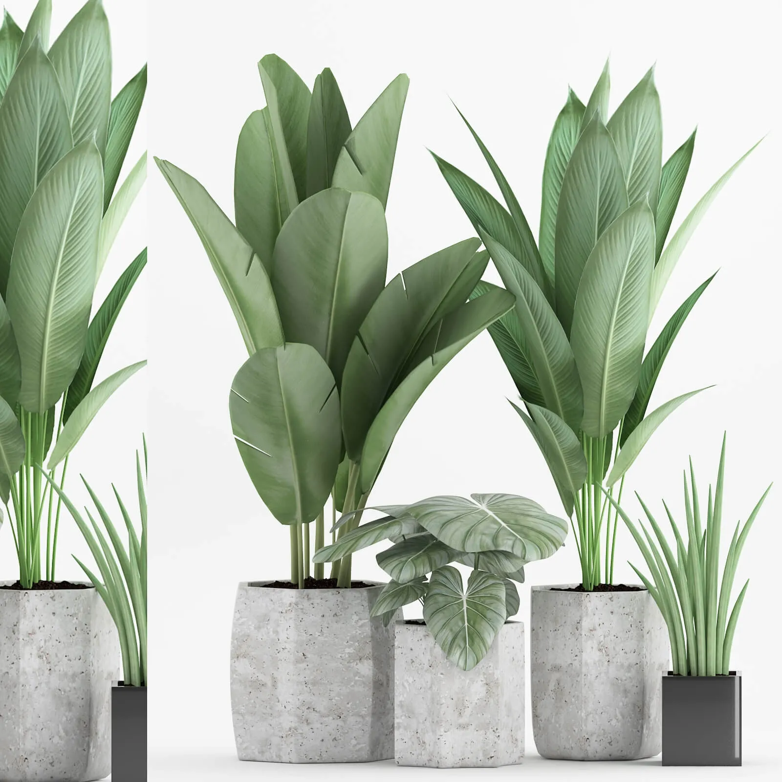 decoration – Plant 70 1 3D Model decoration – Plant 70 1 3D Model