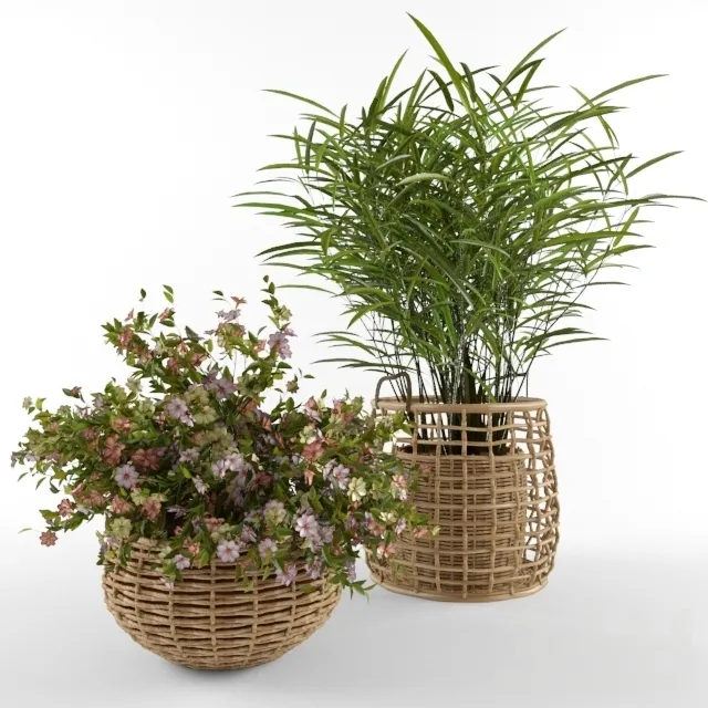 decoration – Plant 97 3D Model decoration – Plant 97 3D Model