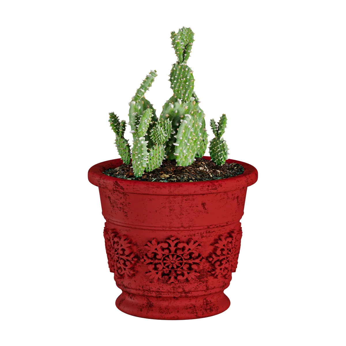 decoration – Plant cactus 3D Model