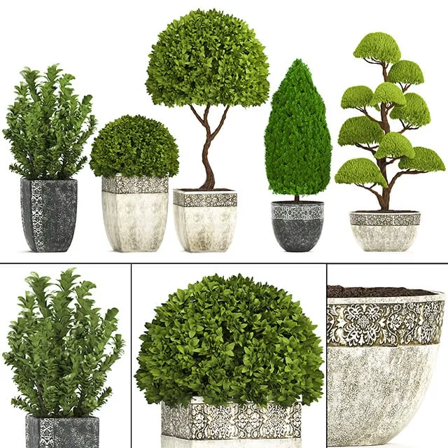 decoration – Plant collection 239 3D Model decoration – Plant collection 239 3D Model