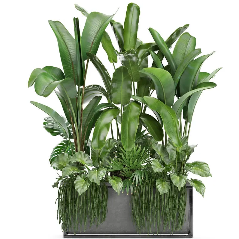 decoration – Plant collection 243 3D Model decoration – Plant collection 243 3D Model