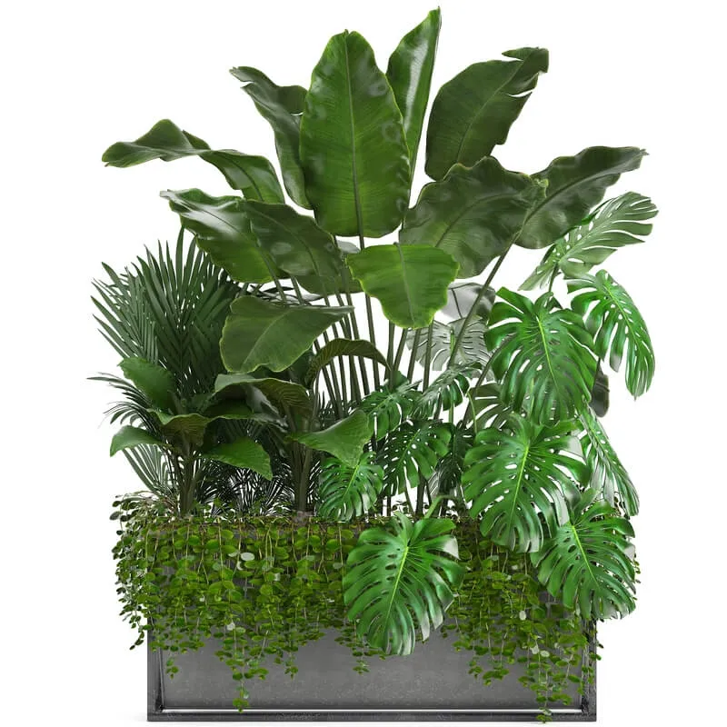 decoration – Plant collection 244 3D Model decoration – Plant collection 244 3D Model