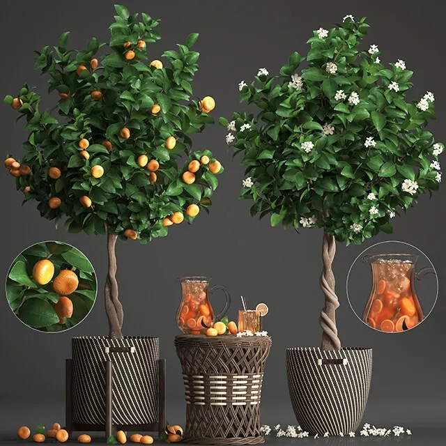 decoration – Plant collection 267 3D Model decoration – Plant collection 267 3D Model