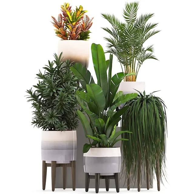 decoration – Plant Collection 278 3D Model decoration – Plant Collection 278 3D Model
