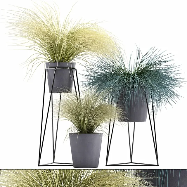 decoration – Plant Collection 279 3D Model decoration – Plant Collection 279 3D Model