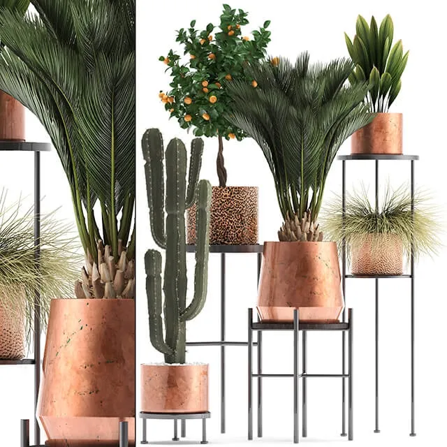 decoration – Plant Collection 288 3D Model decoration – Plant Collection 288 3D Model