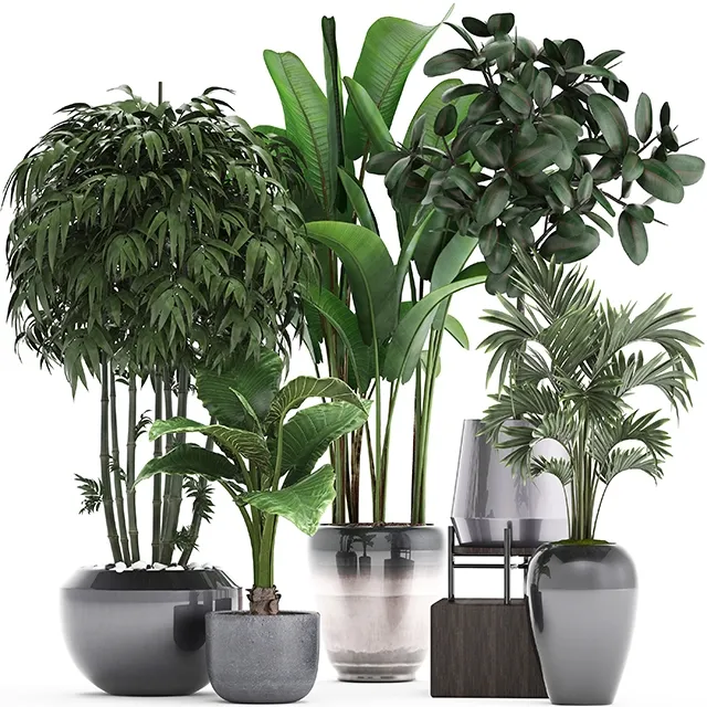 decoration – Plant collection 291 3D Model decoration – Plant collection 291 3D Model