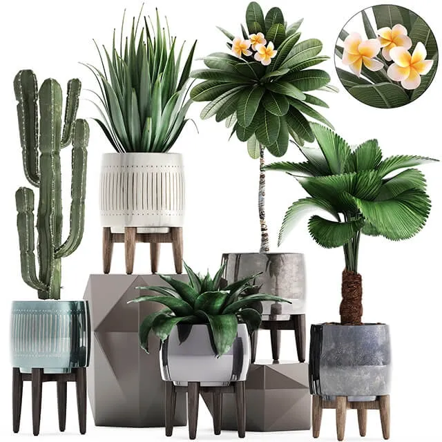 decoration – Plant collection 292 3D Model decoration – Plant collection 292 3D Model