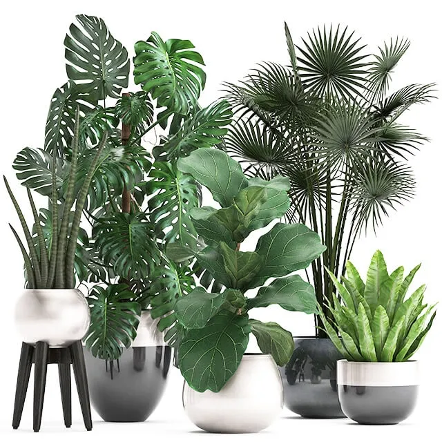 decoration – Plant Collection 293 3D Model decoration – Plant Collection 293 3D Model