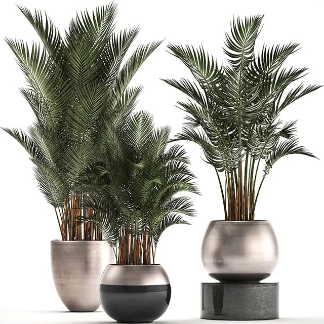 decoration – Plant collection 296 3D Model decoration – Plant collection 296 3D Model