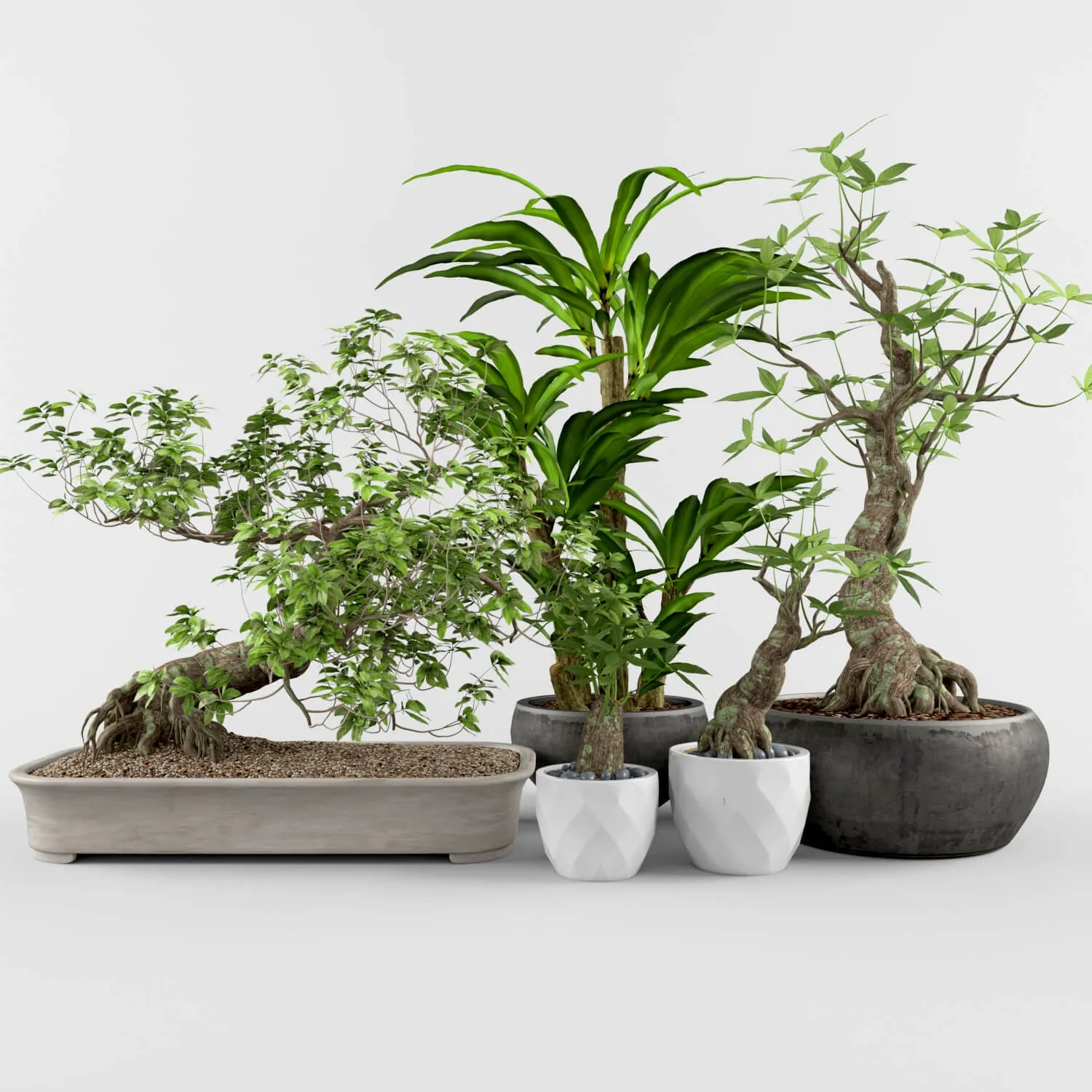 decoration – Plant collection 89 3D Model decoration – Plant collection 89 3D Model