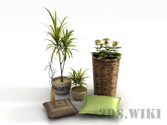 decoration – Plant flowers and pillows 3D Model