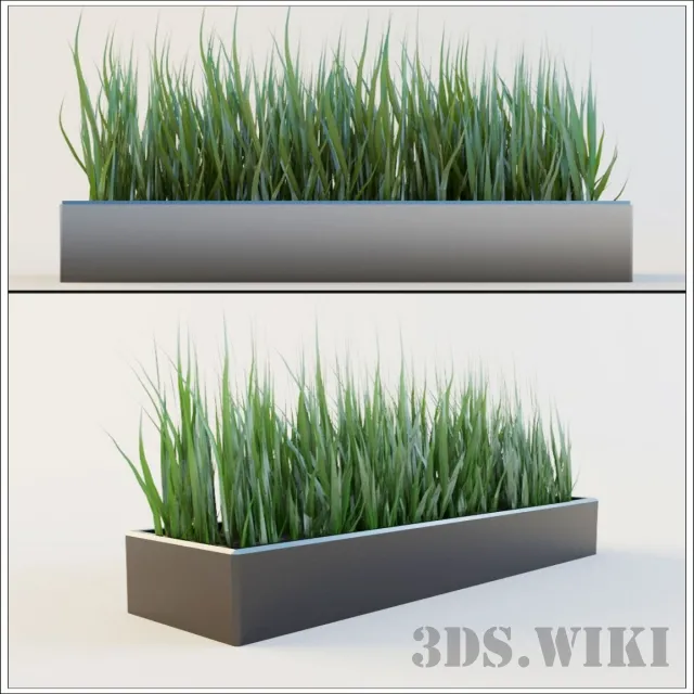 decoration – Plant for exterior and interior – Grass 3D Model