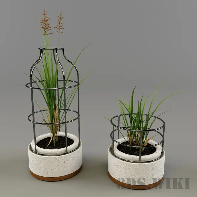 decoration – Plant – grass in decorative pots 3D Model