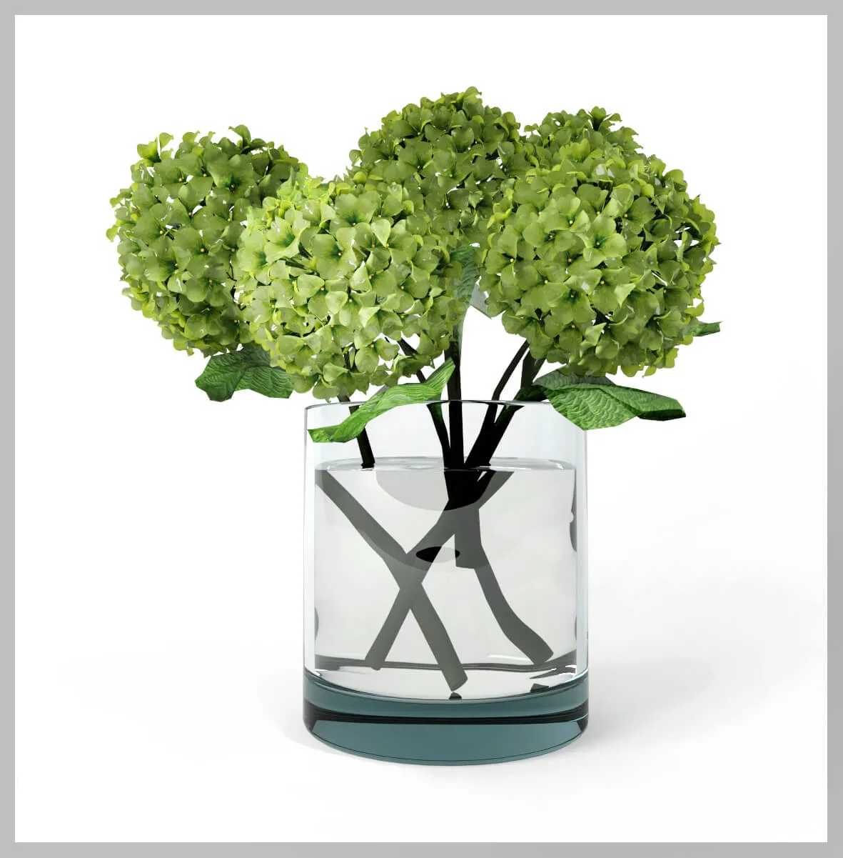 decoration – Plant hydrangea 10 3D Model