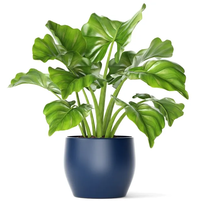 decoration – Plant in a pot 1 3D Model decoration – Plant in a pot 1 3D Model