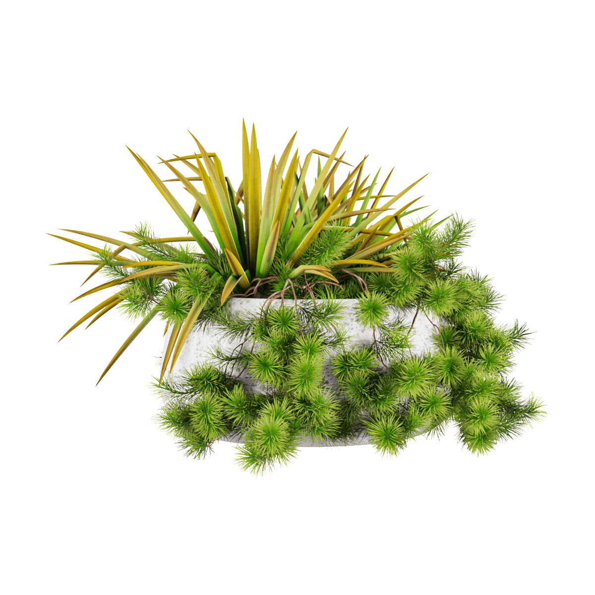 decoration – Plant in a pot 3D Model