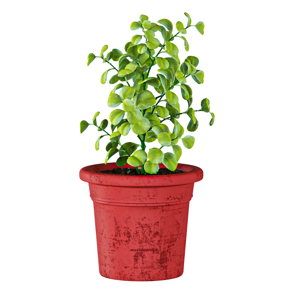 decoration – Plant in a pot 3D Model