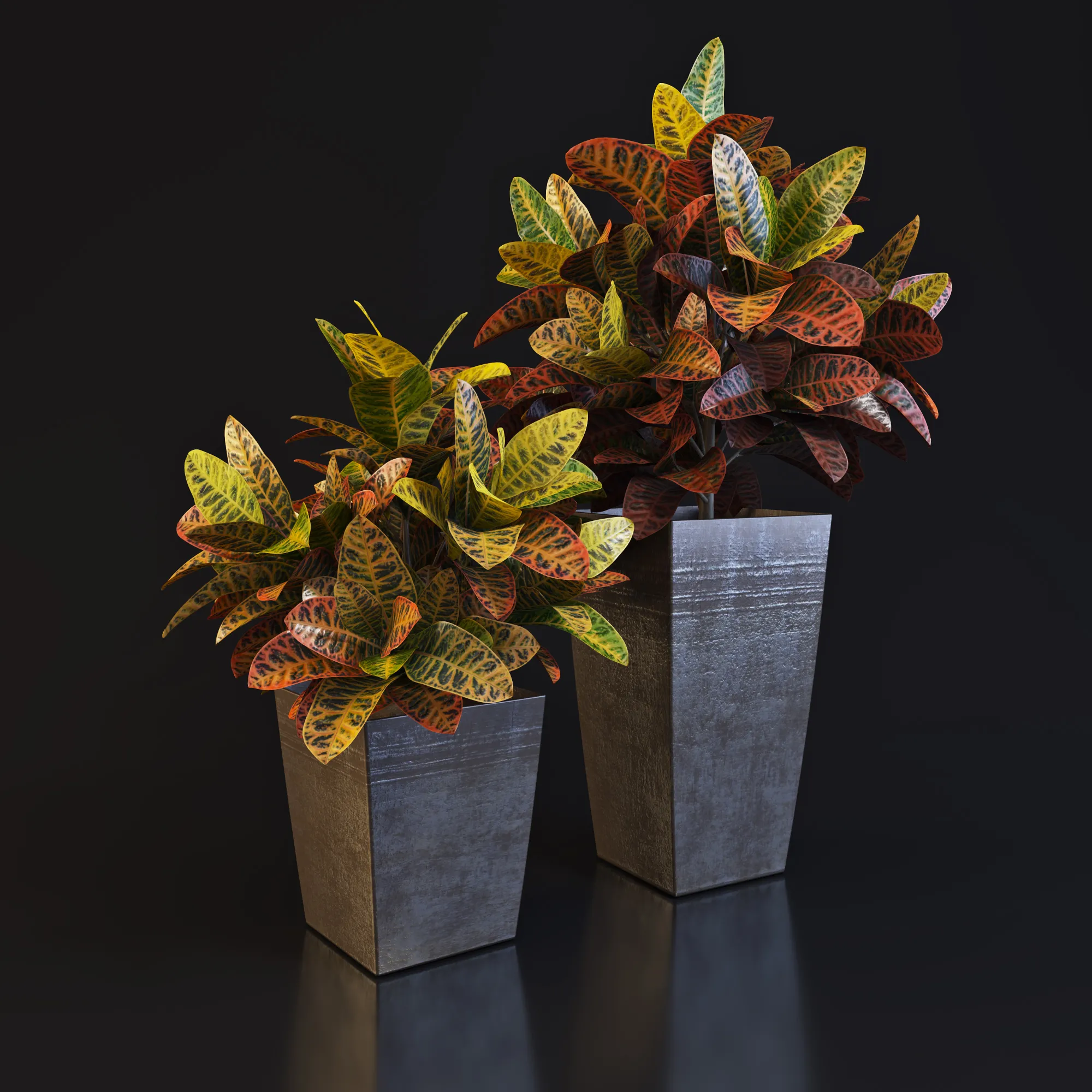 decoration – Plant in a vase 03 3D Model