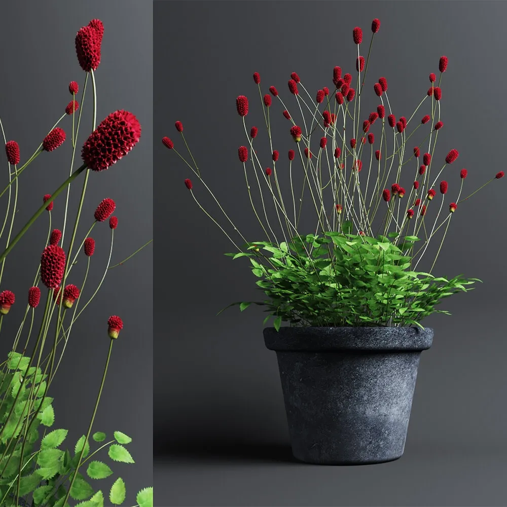 decoration – Plant in Pot 203 3D Model decoration – Plant in Pot 203 3D Model