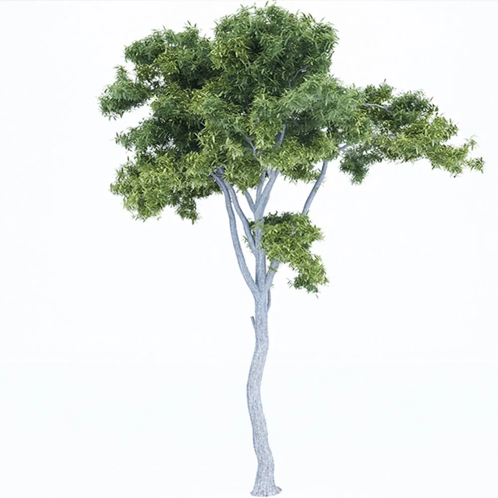 decoration – Plant in the form of a tree 3D Model