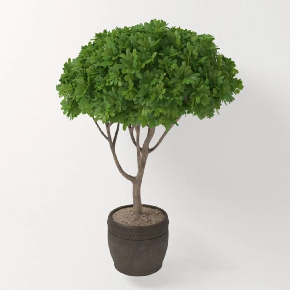 decoration – Plant in the form of trees 3D Model
