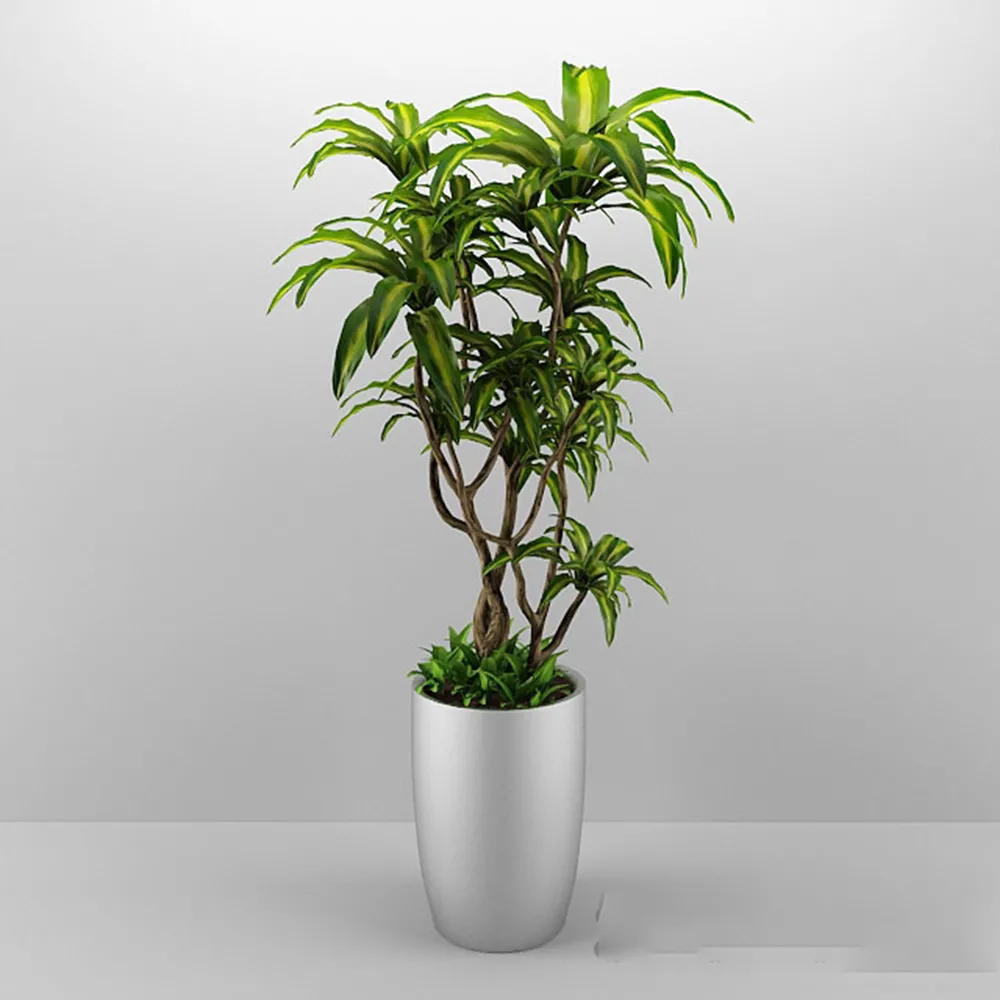 decoration – Plant in the pot 3D Model