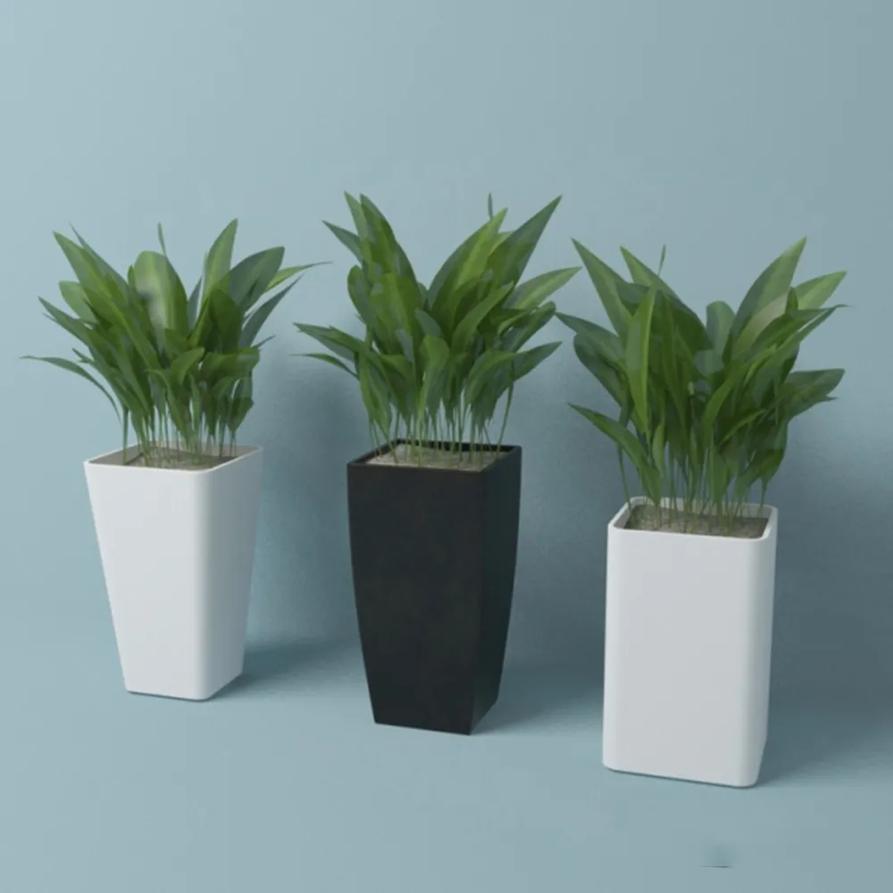 decoration – Plant (leaves) in vases 3D Model