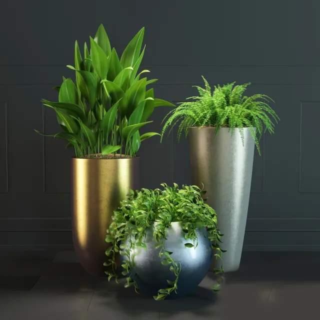 decoration – Plant Set 0 01 3D Model decoration – Plant Set 0 01 3D Model