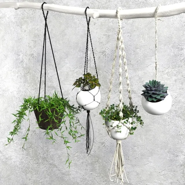 decoration – Plant Set 004 3D Model decoration – Plant Set 004 3D Model