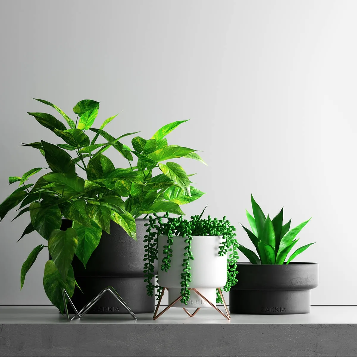 decoration – Plant Set 1 23 3D Model decoration – Plant Set 1 23 3D Model