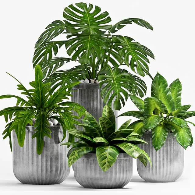 decoration – Plant Set 100 3D Model decoration – Plant Set 100 3D Model