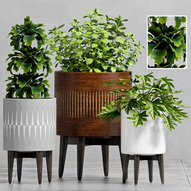 decoration – Plant Set -102 3D Model decoration – Plant Set -102 3D Model