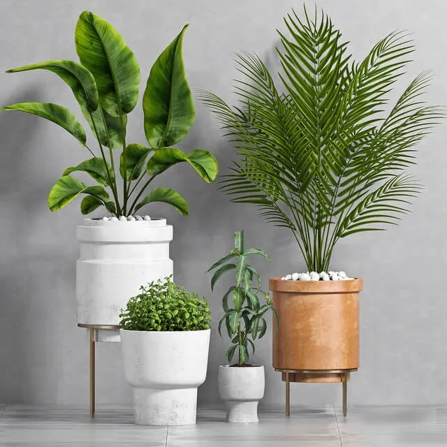 decoration – Plant Set -103 3D Model decoration – Plant Set -103 3D Model