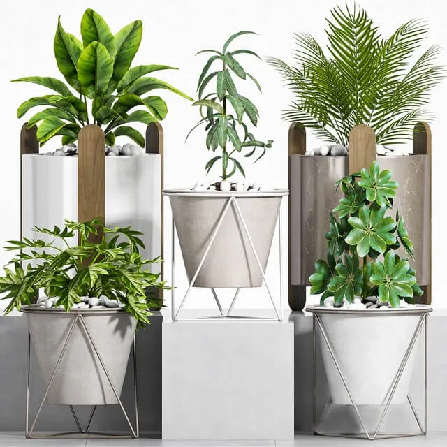 decoration – Plant set-106 3D Model decoration – Plant set-106 3D Model