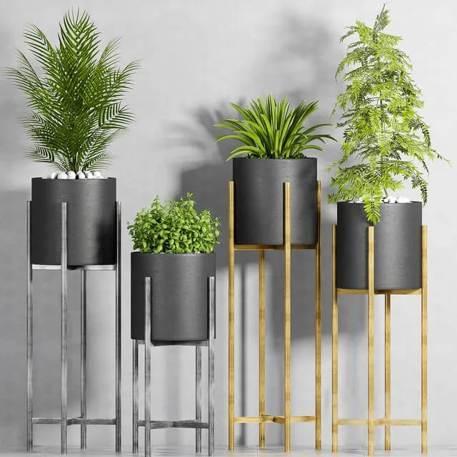 decoration – Plant set-107 3D Model decoration – Plant set-107 3D Model
