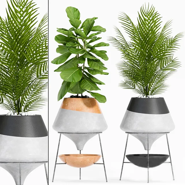 decoration – PLANT SET-108 3D Model decoration – PLANT SET-108 3D Model