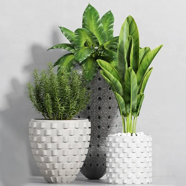 decoration – Plant set -111 3D Model decoration – Plant set -111 3D Model