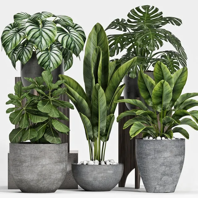 decoration – Plant set-112 3D Model decoration – Plant set-112 3D Model