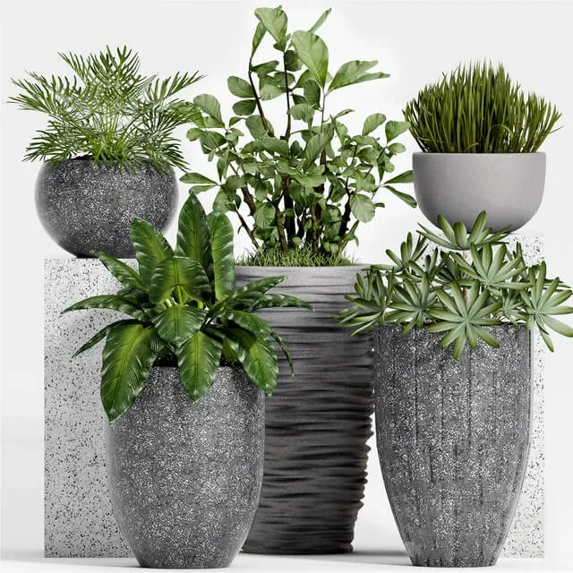 decoration – Plant Set -115 3D Model decoration – Plant Set -115 3D Model