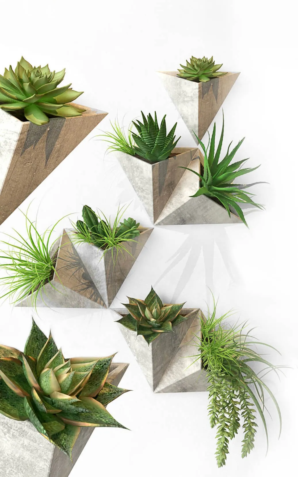 decoration – Plant set 3D Model decoration – Plant set 3D Model