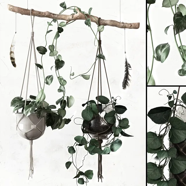 decoration – Plant set 3D Model