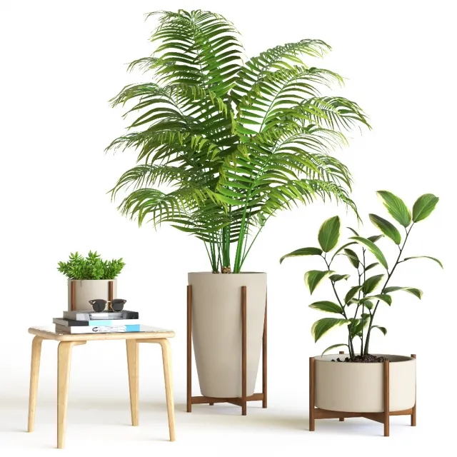 decoration – Plant set 5 3D Model decoration – Plant set 5 3D Model