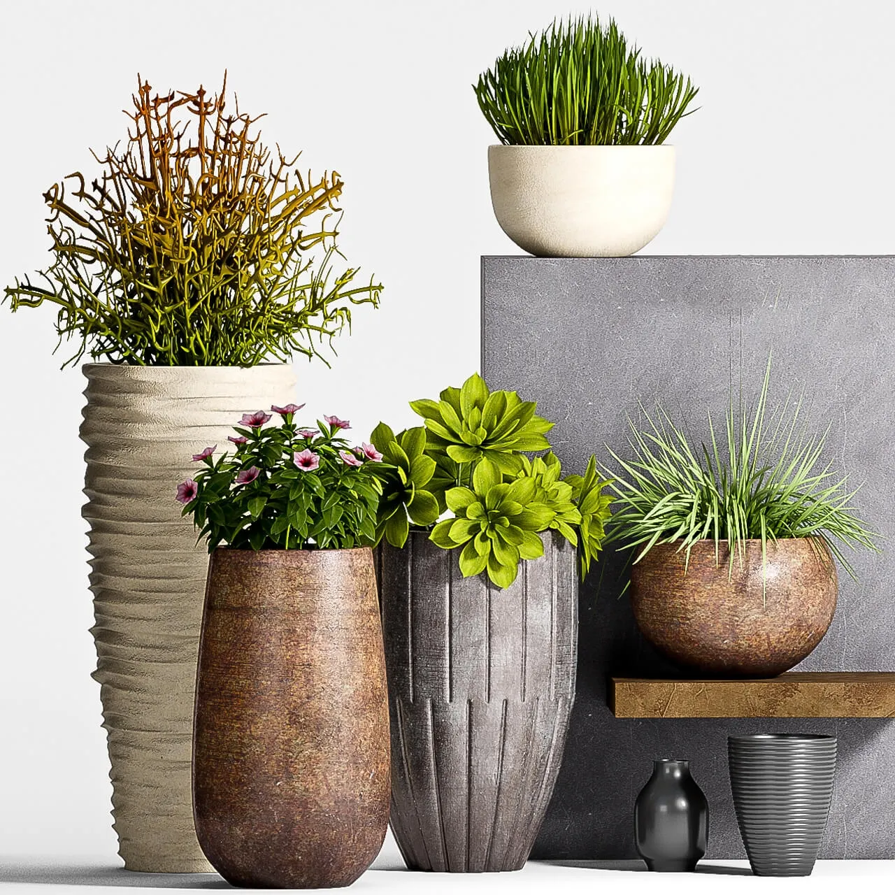 decoration – Plant Set – 63 3D Model decoration – Plant Set – 63 3D Model