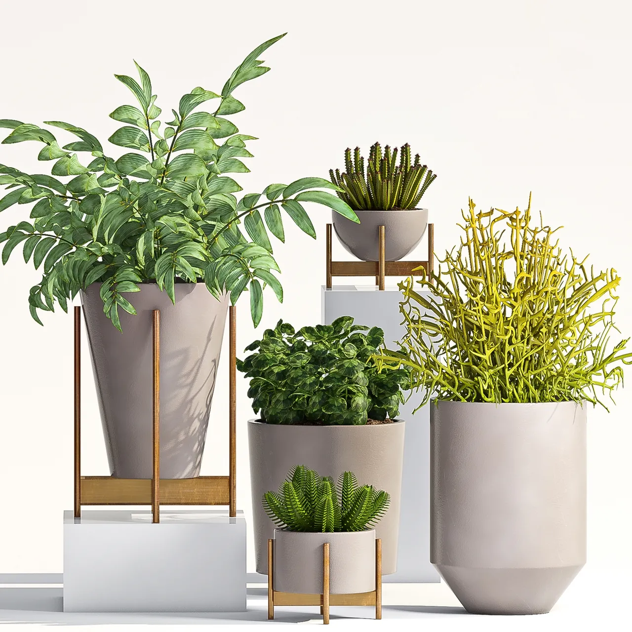 decoration – Plant Set -66 3D Model decoration – Plant Set -66 3D Model